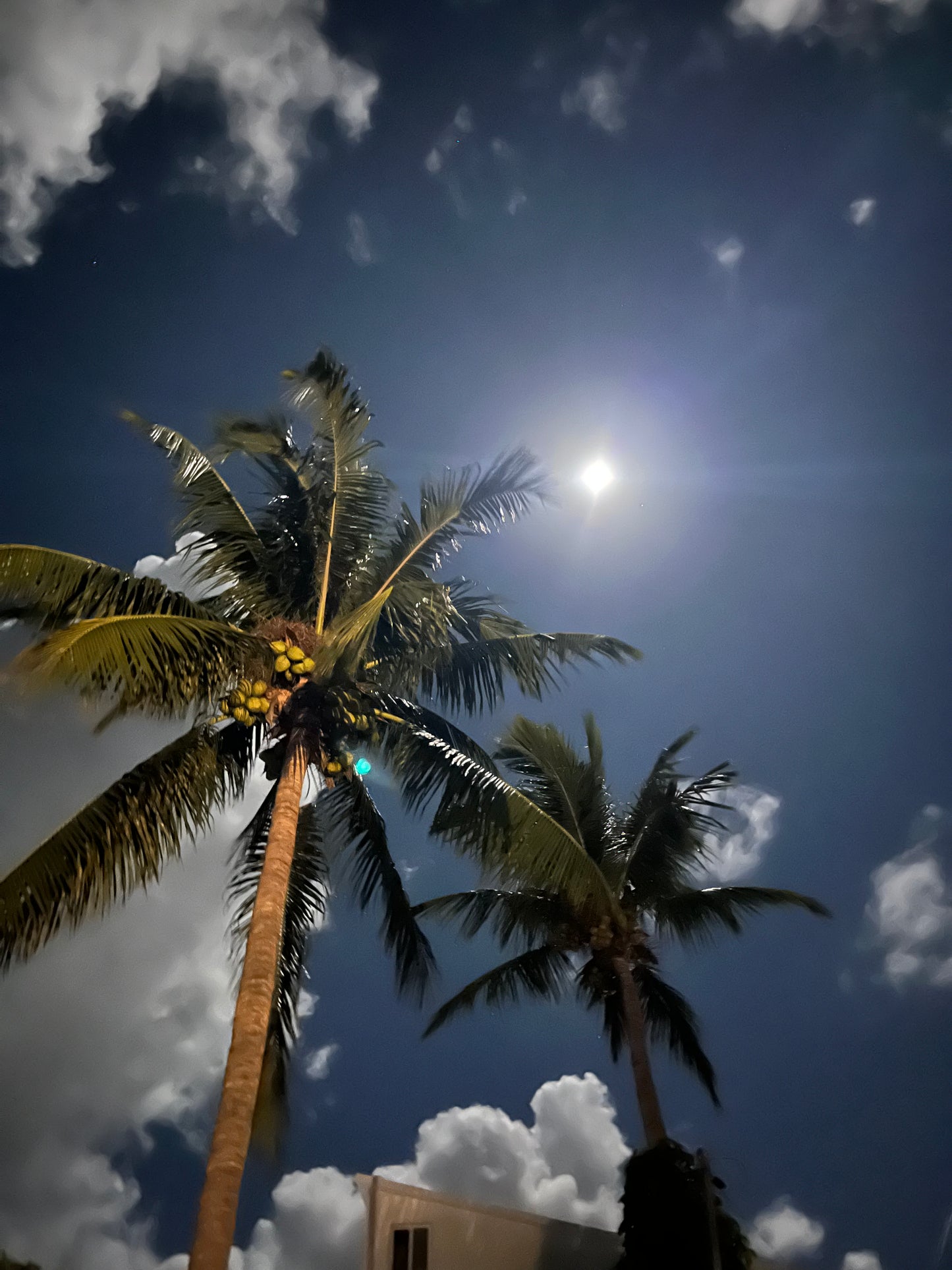 Noche disponible con la mejor selección de hostal hotel.